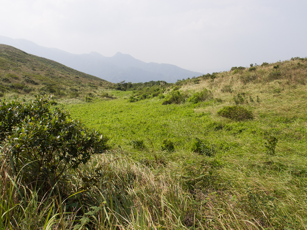 PA221216.jpg