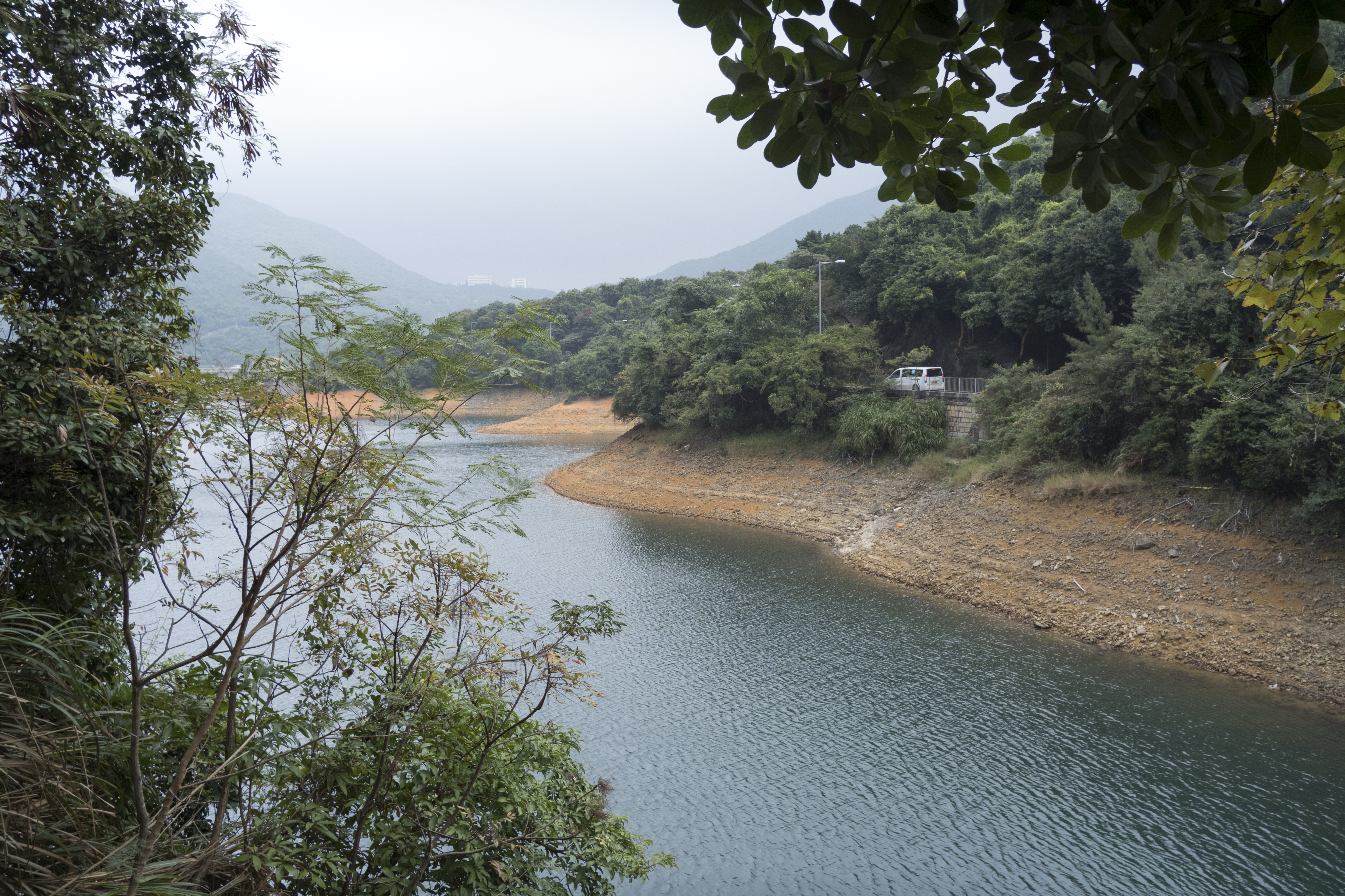 P1000256.jpg