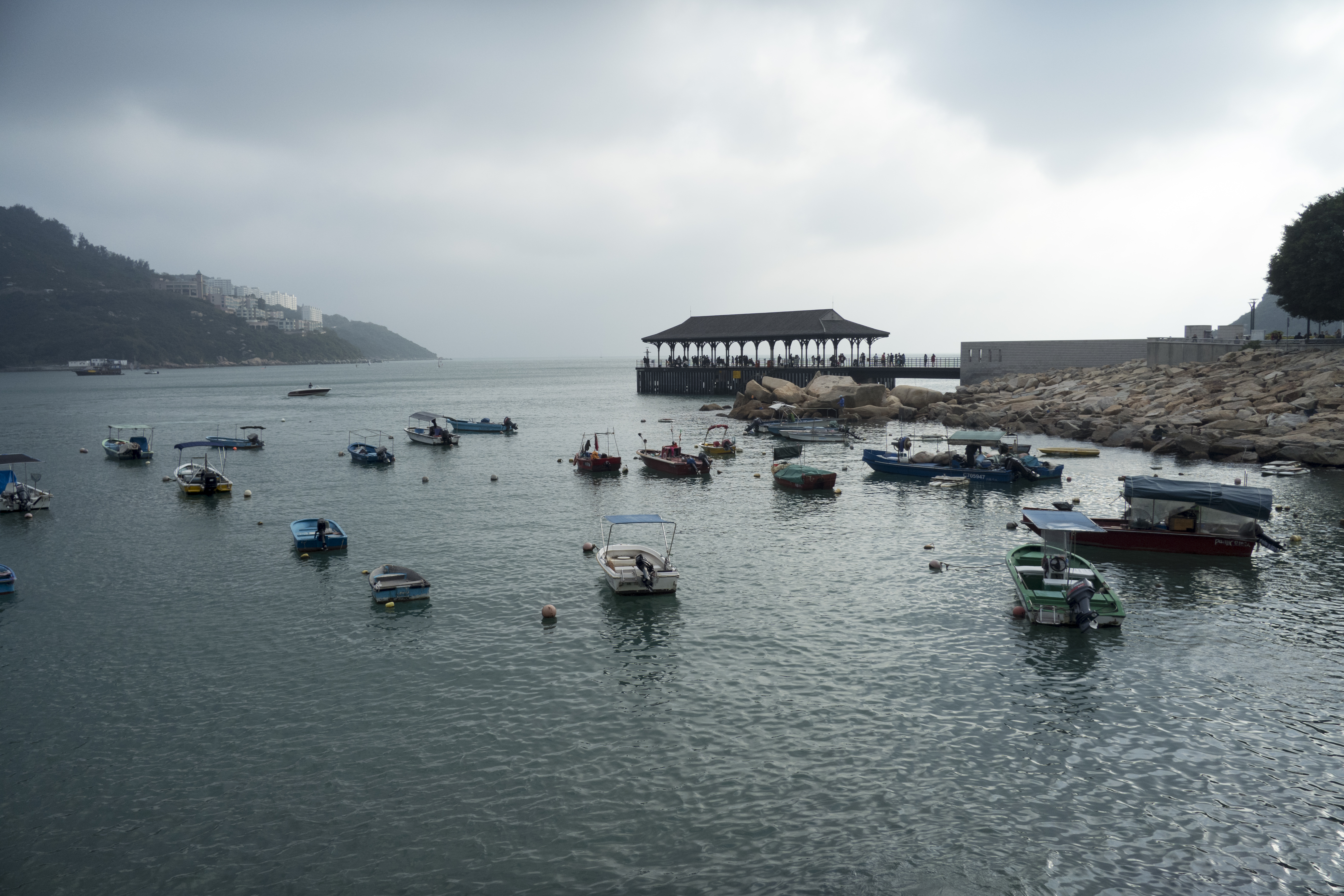 P1000258.jpg
