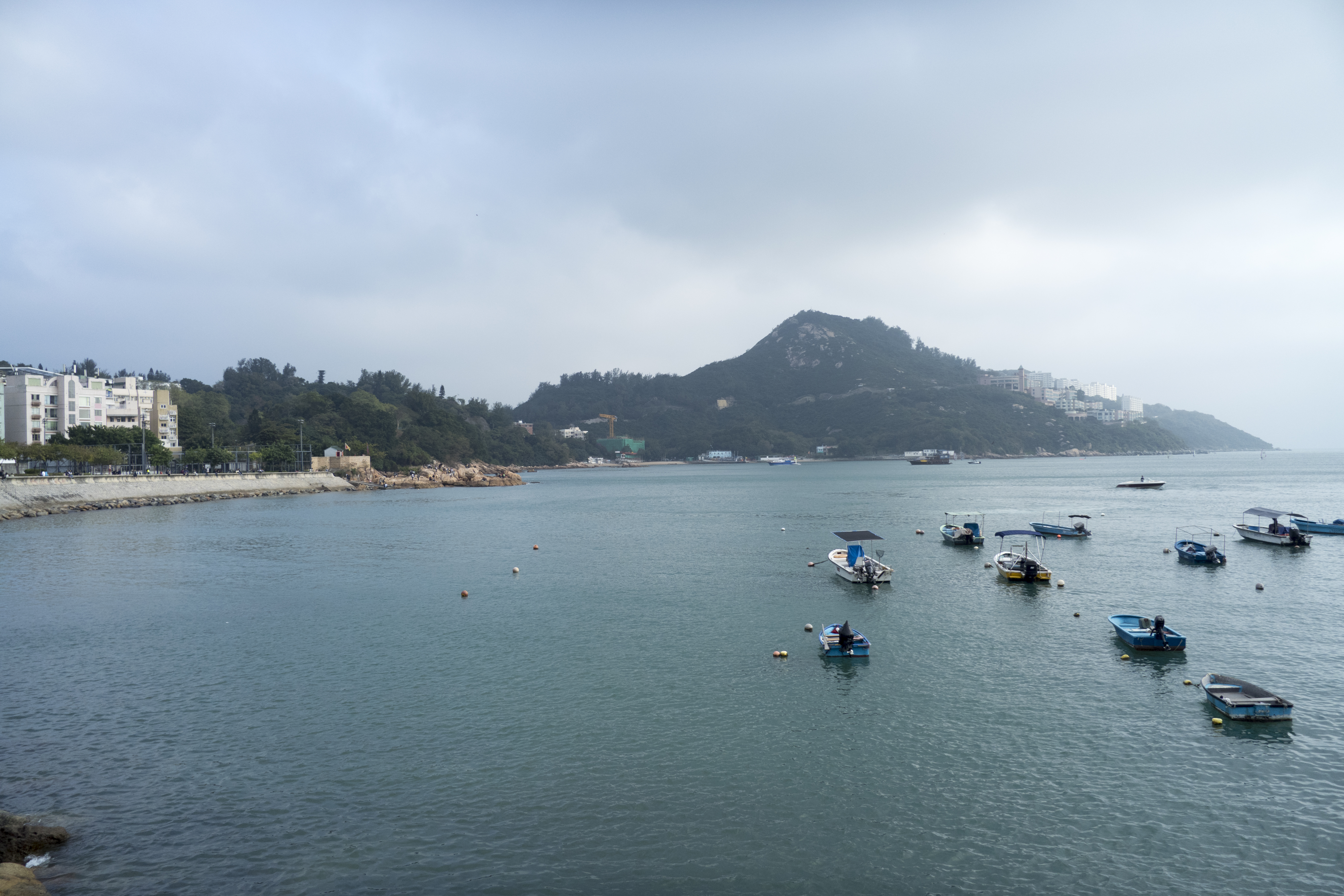 P1000259.jpg