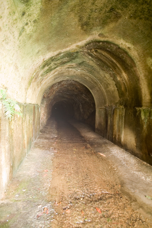 PICT2406.jpg