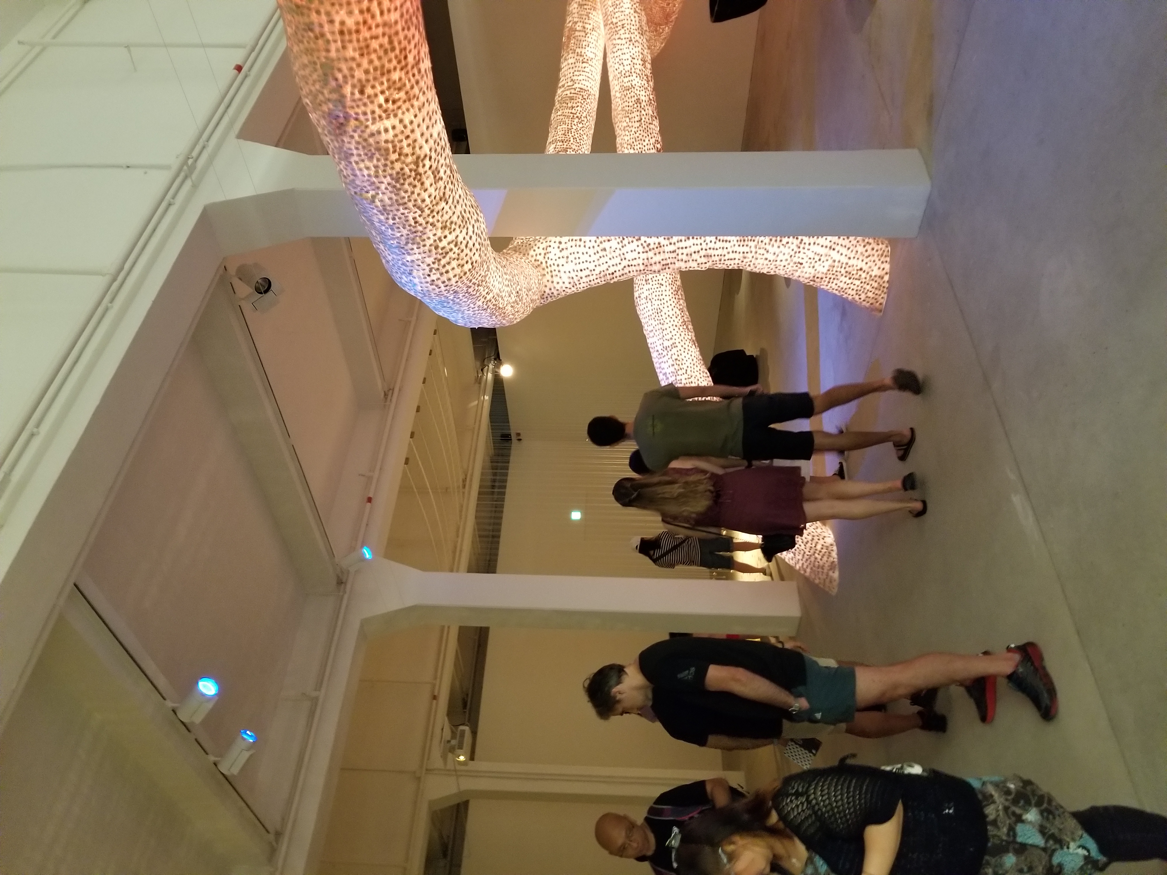 20180630_121911.jpg