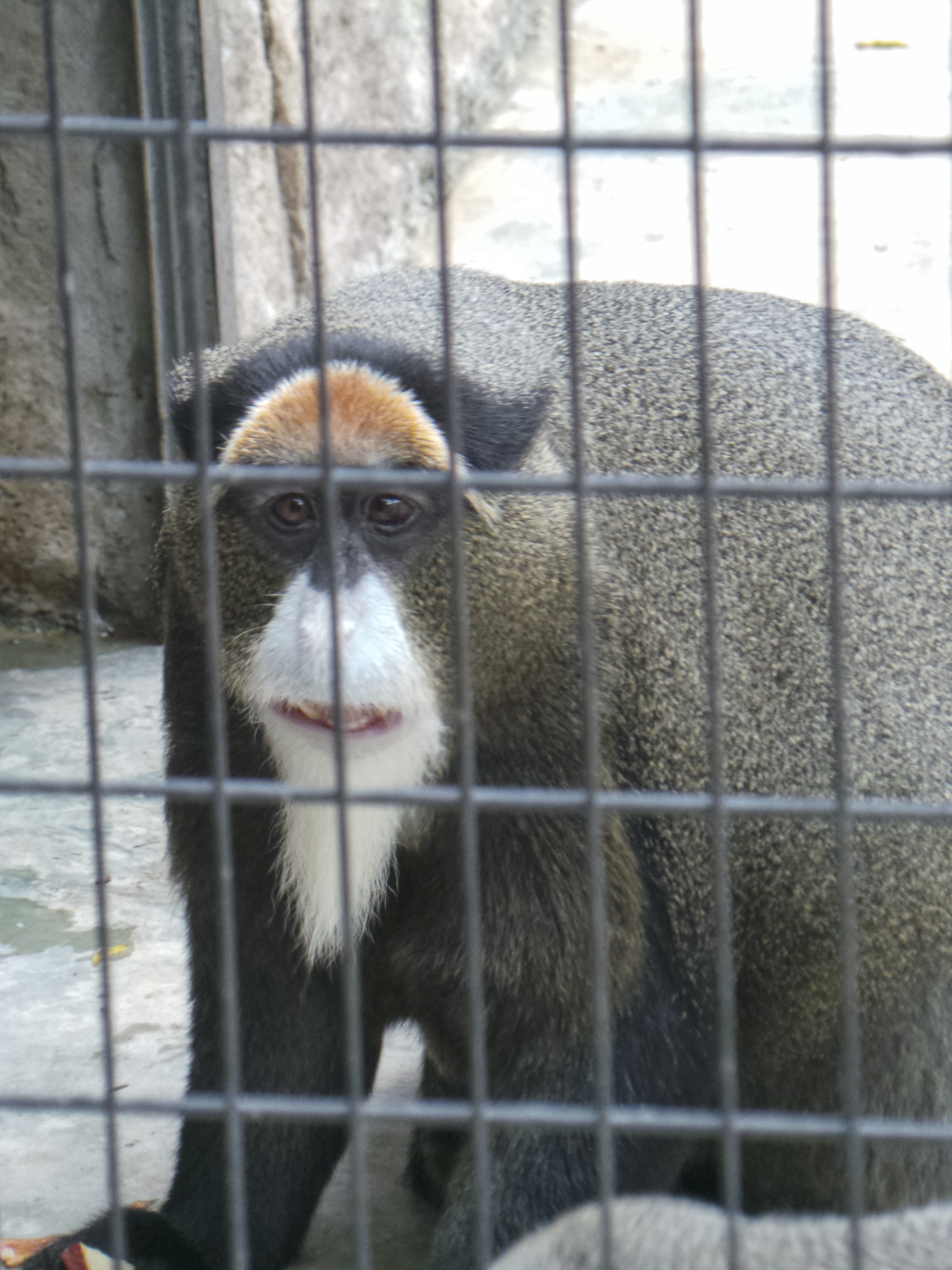 20130607_132954.jpg