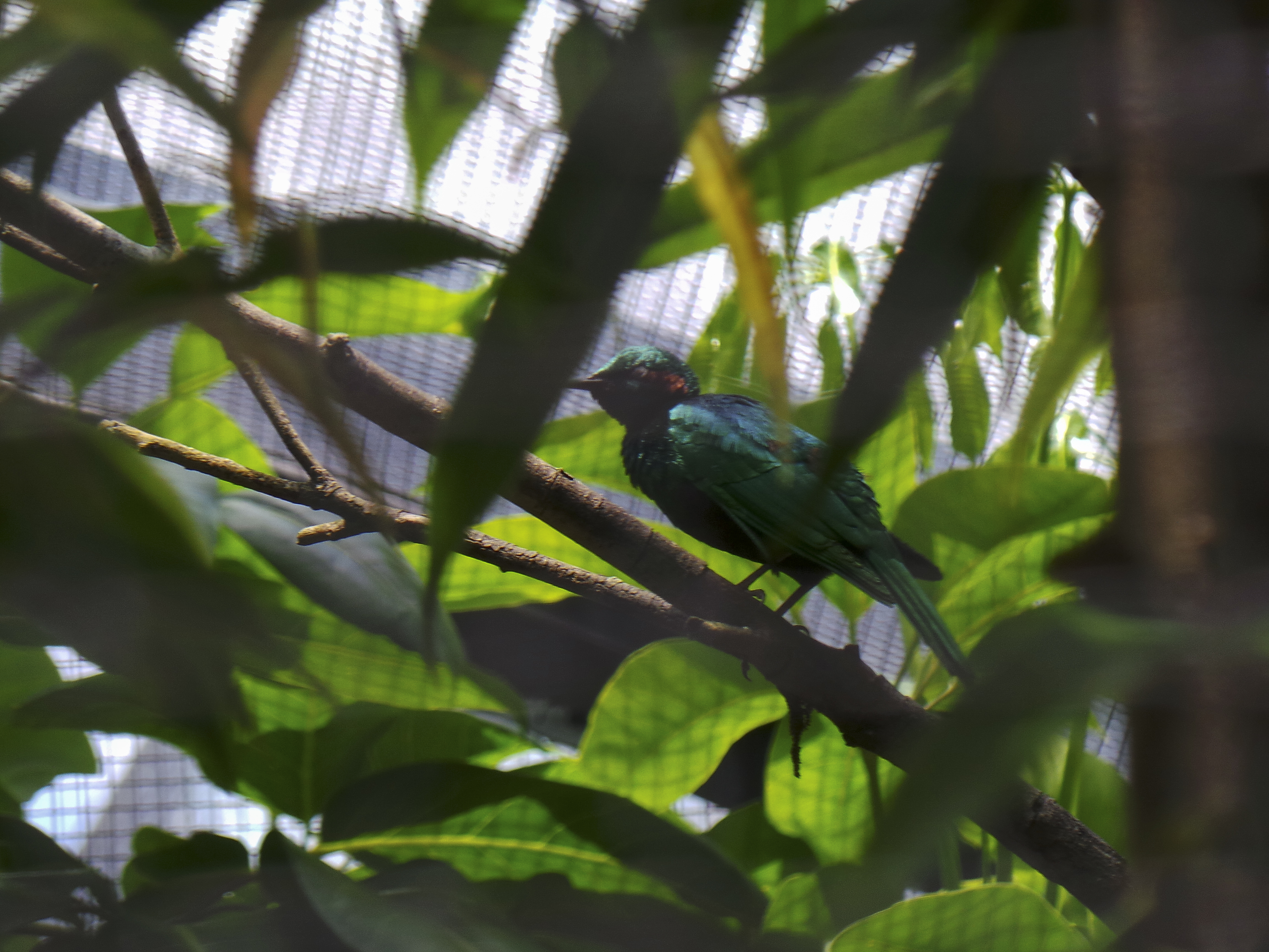 DSC_0424.jpg