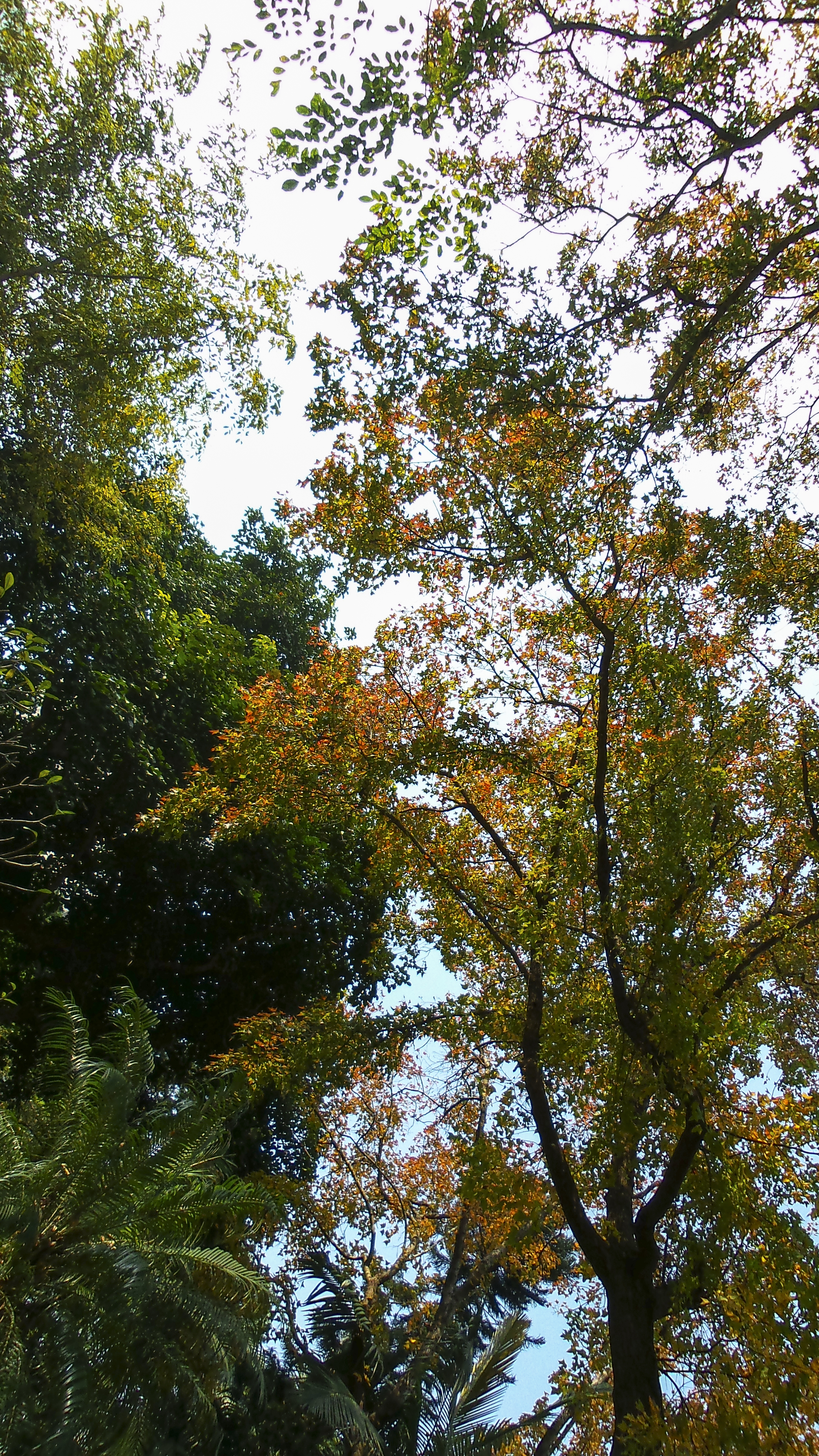 DSC_0859.jpg