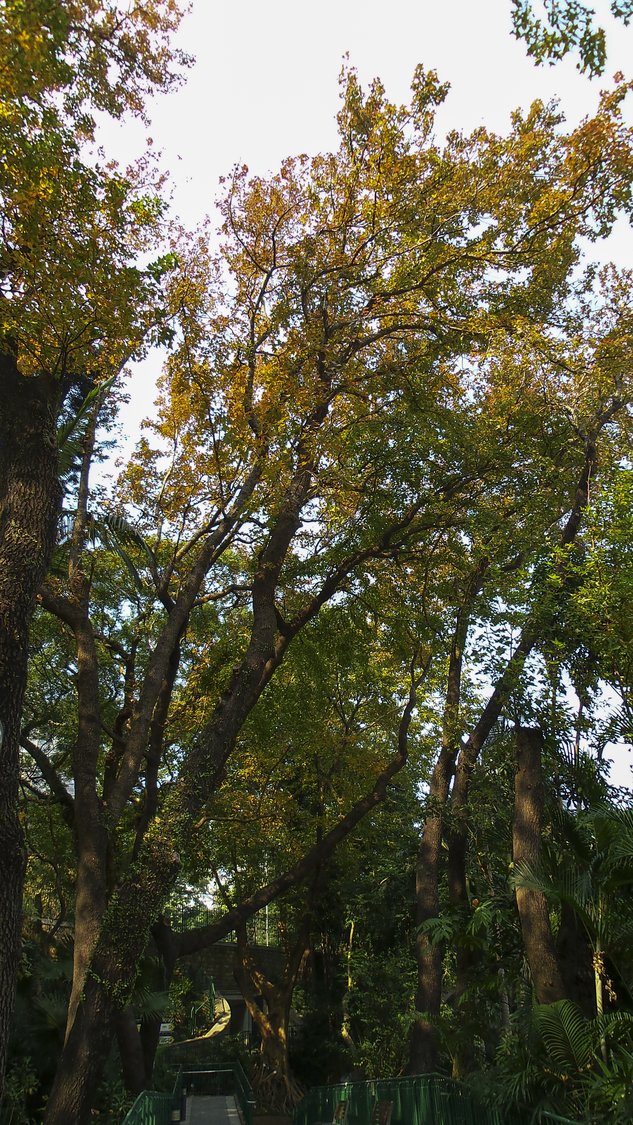 DSC_0861.jpg