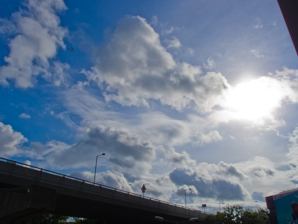 P6180009.jpg