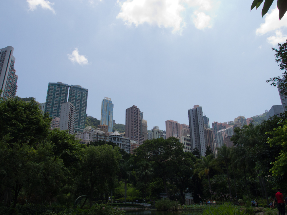 P8020467.jpg