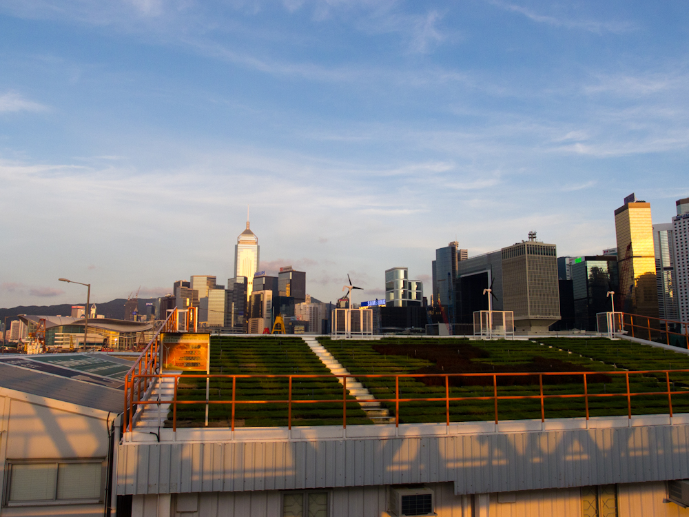 P7260334.jpg