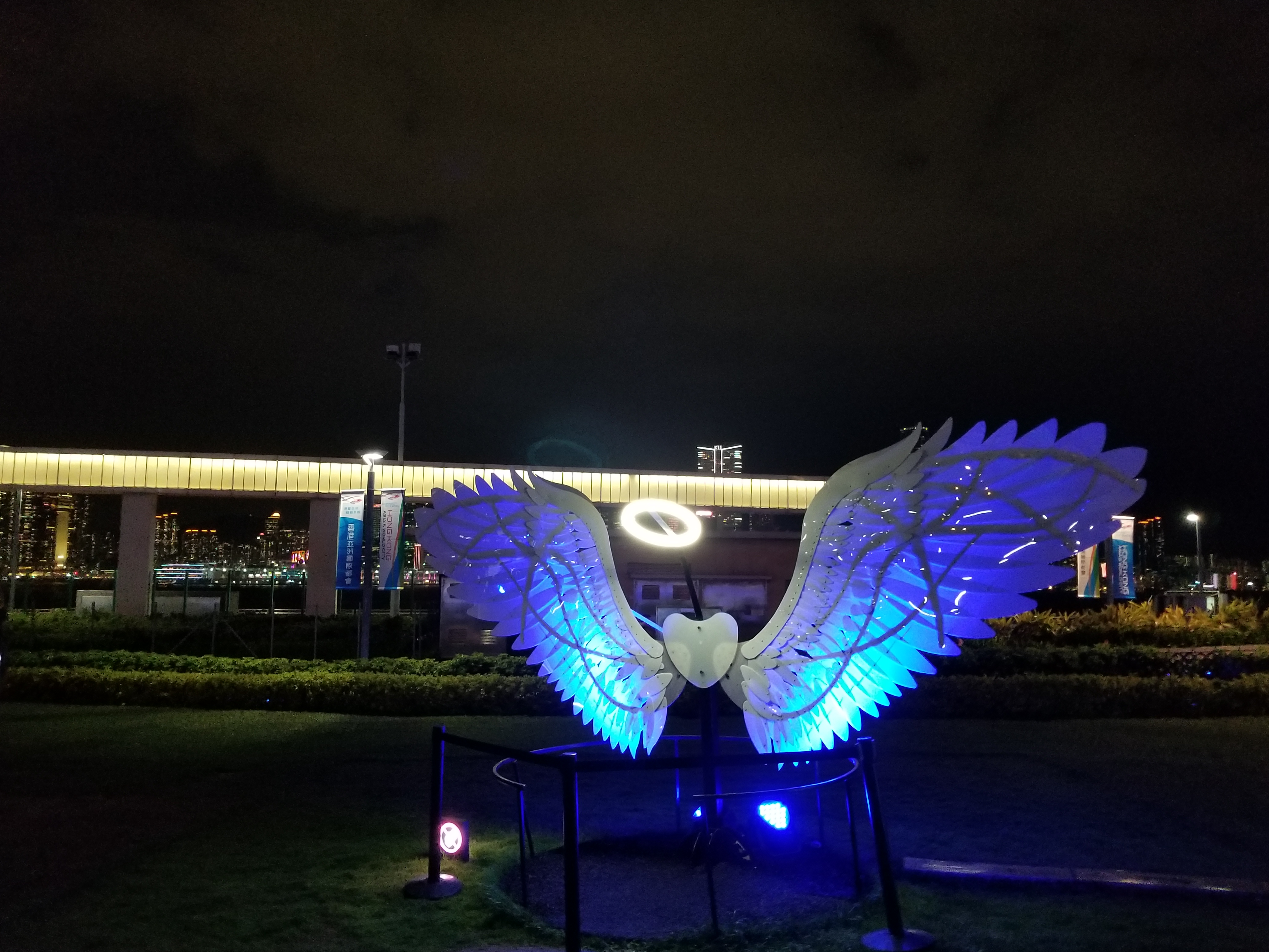 20190218_202223.jpg