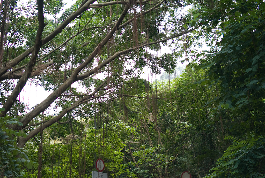 L1000042.jpg