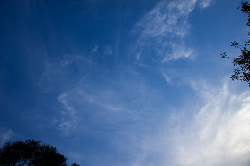 DSC04090.jpg