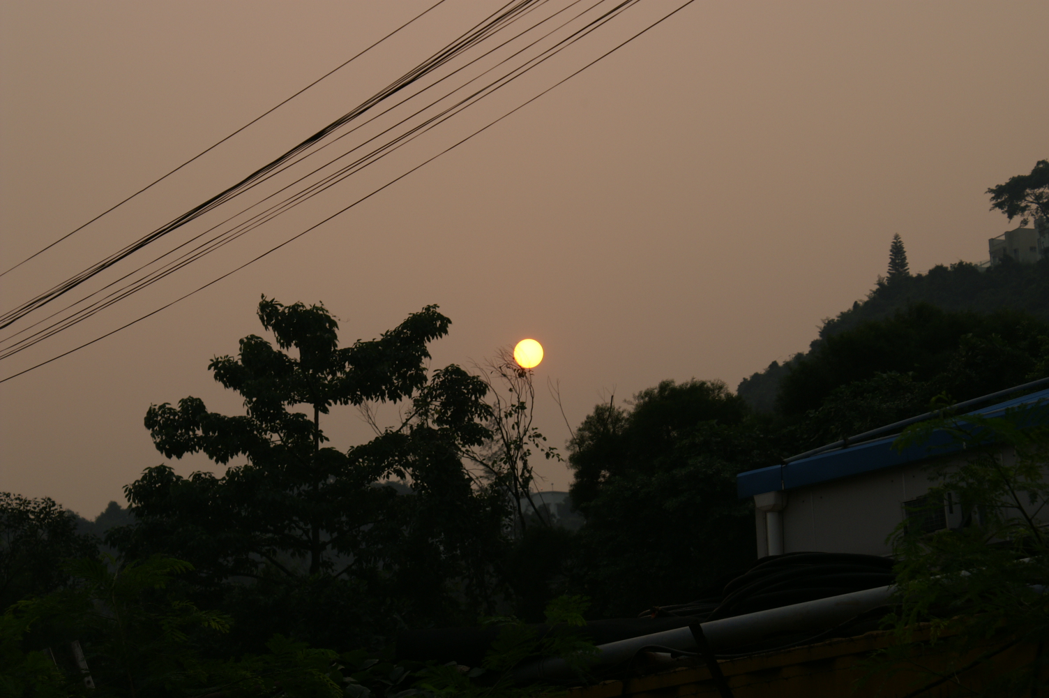 PICT0049.JPG