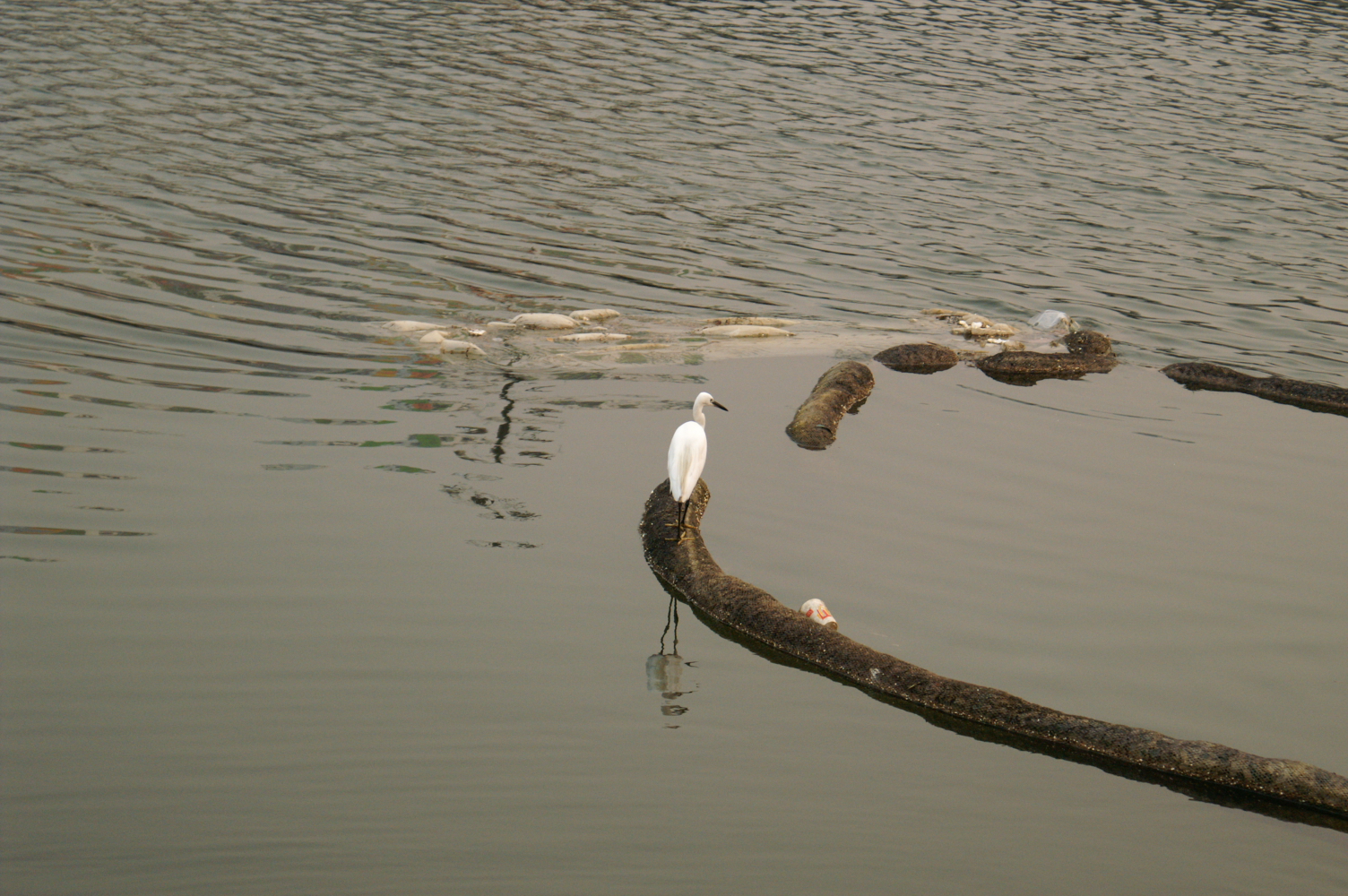 PICT0069.JPG