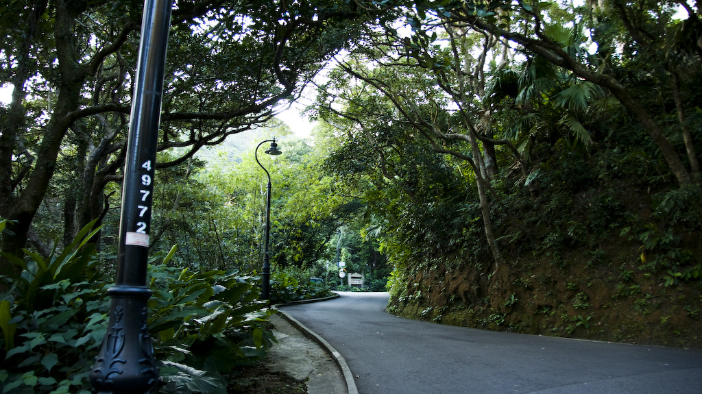 DSC09014.jpg