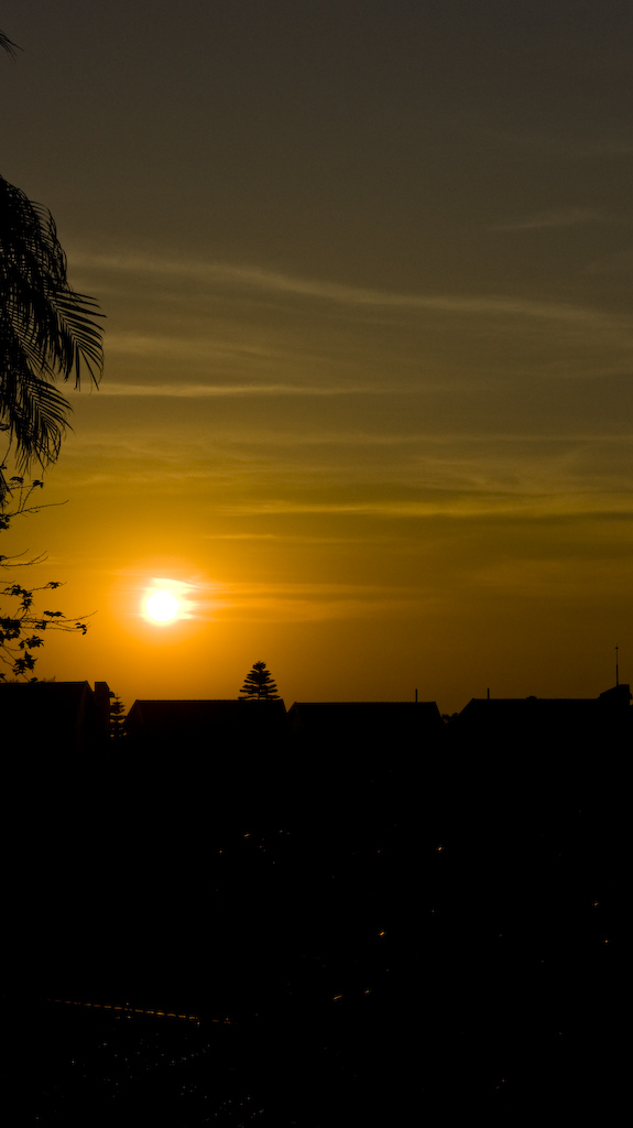 DSC09053.jpg