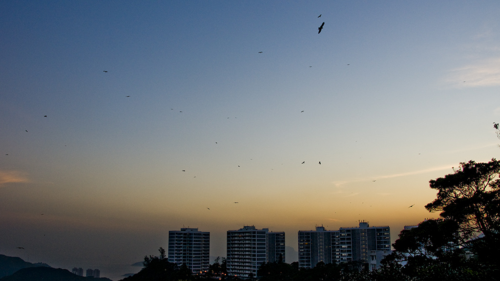 DSC09061.jpg