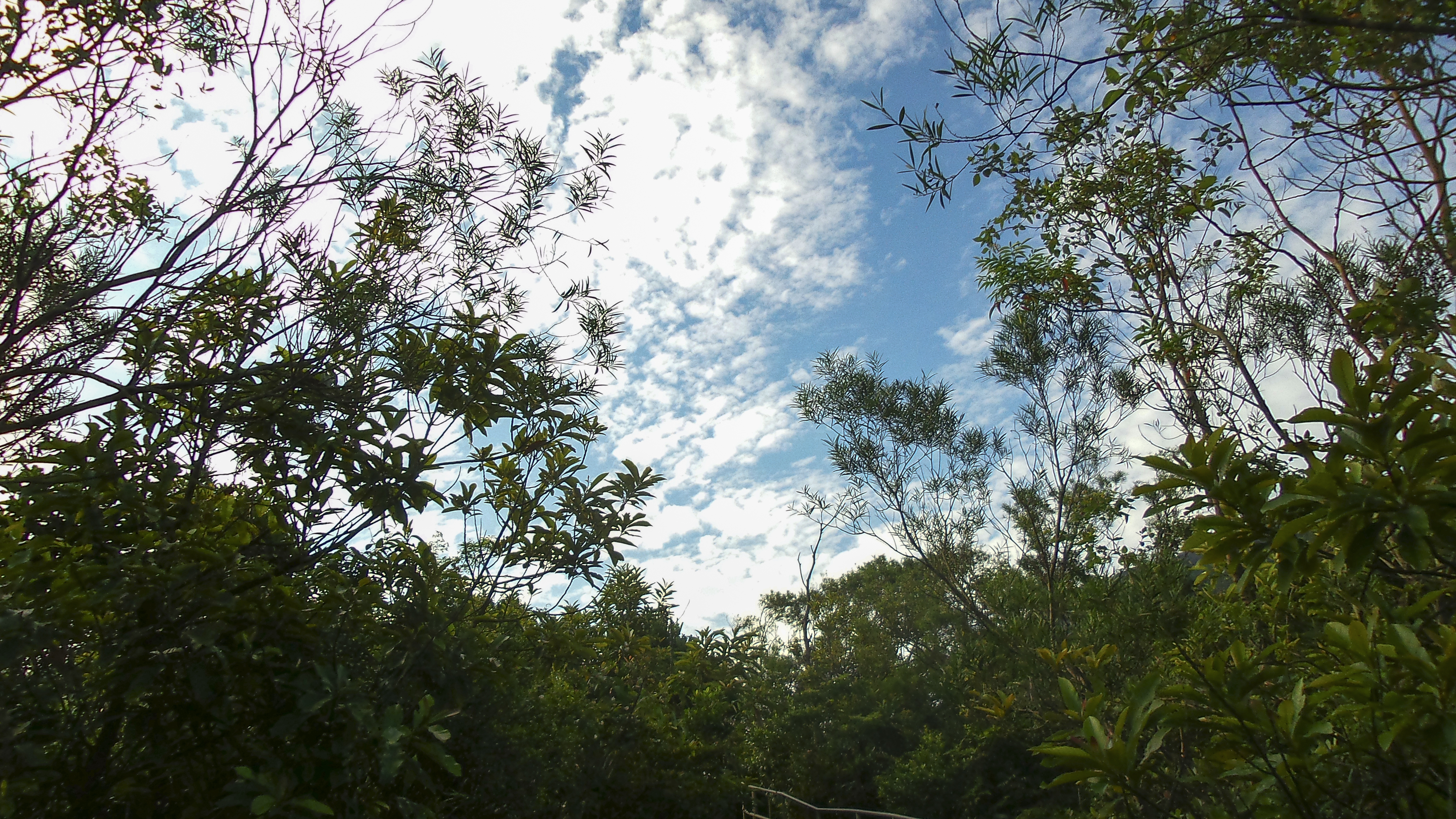 DSC_0248.jpg