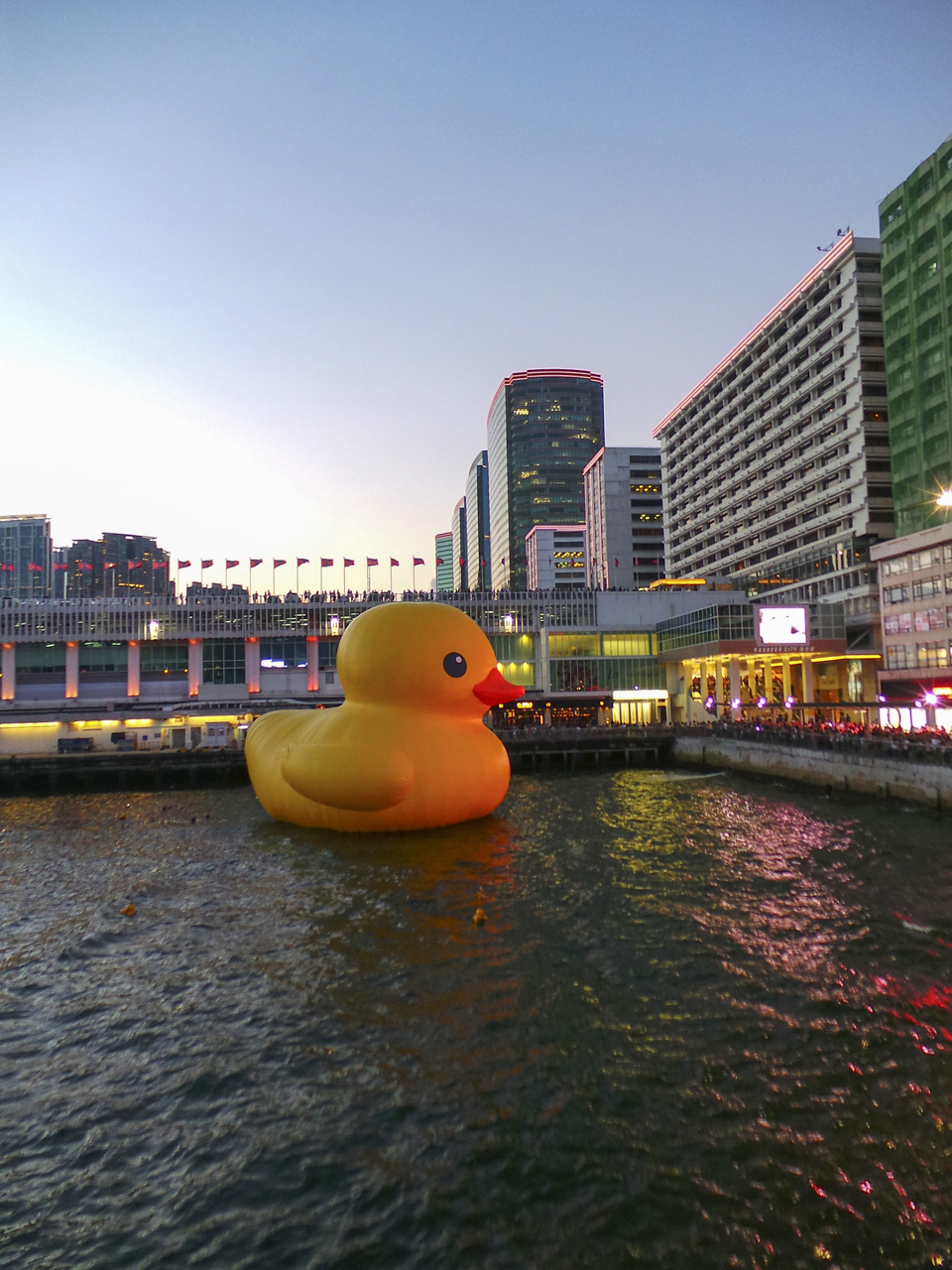 DSC_0385.jpg