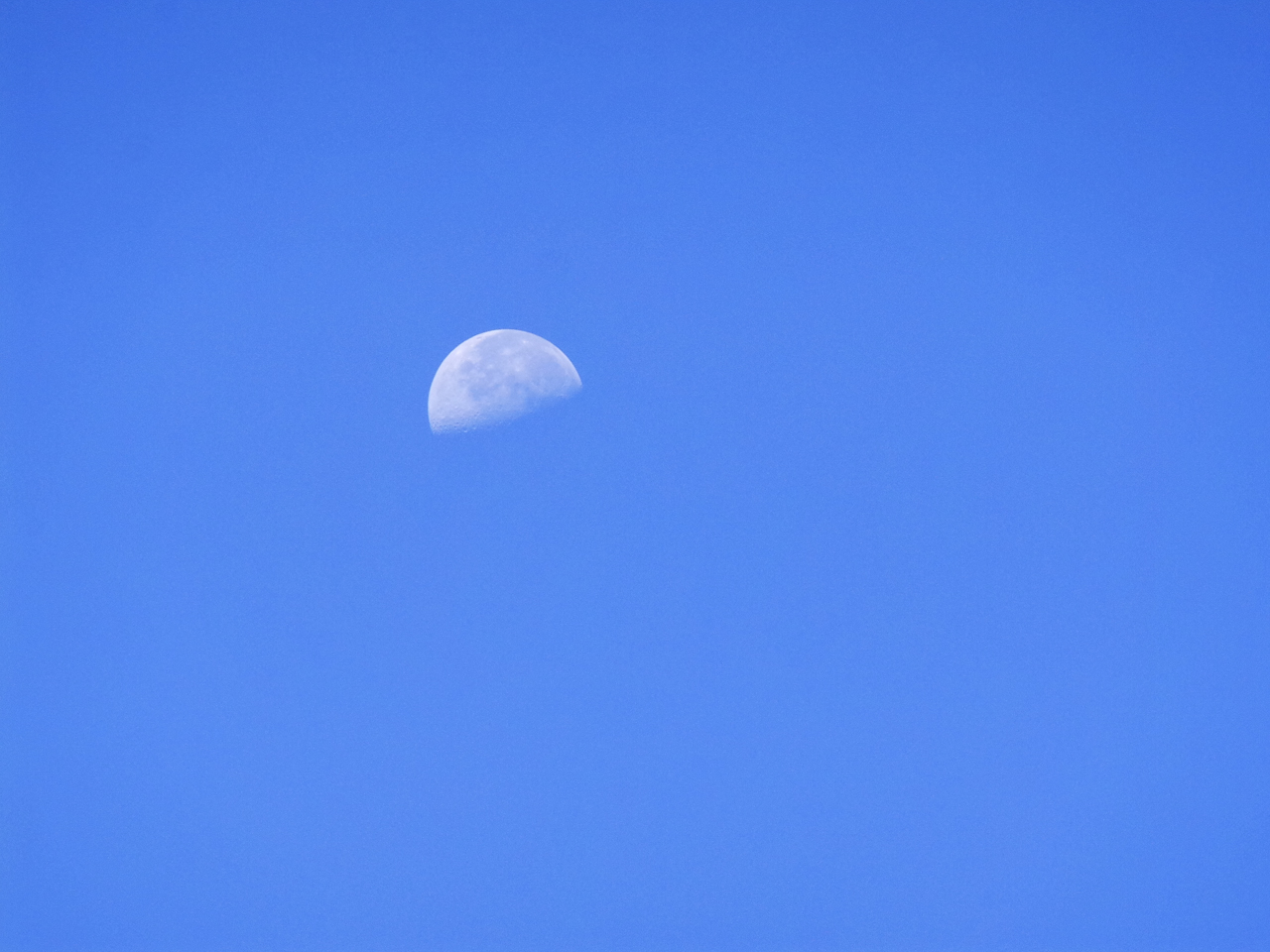 DSC_0293.jpg