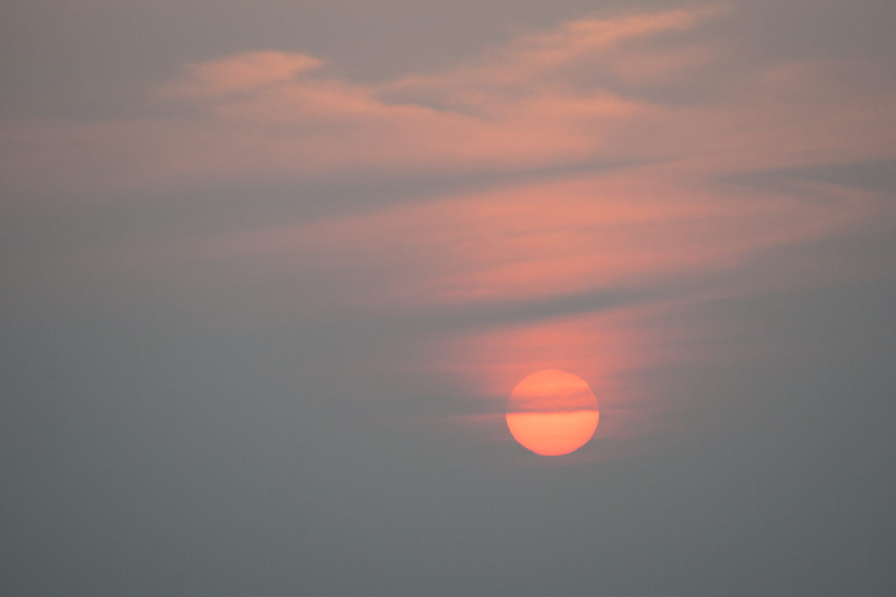 DSC02232.jpg