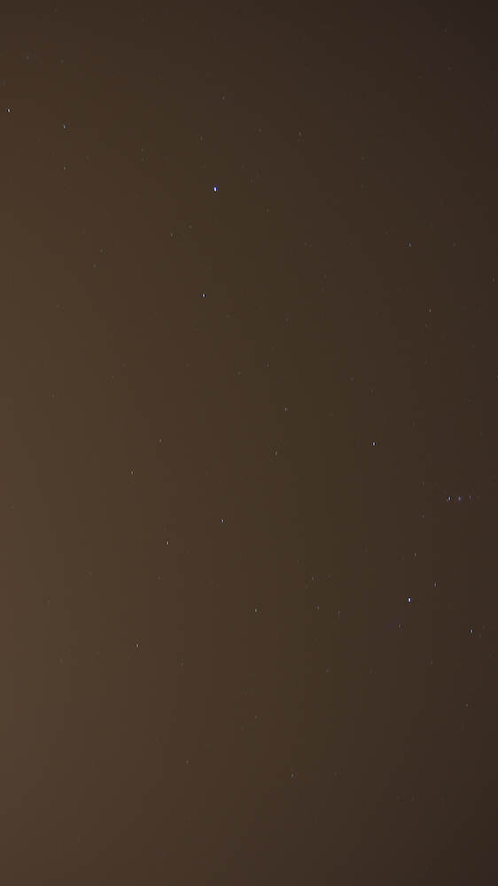 DSC09164.jpg