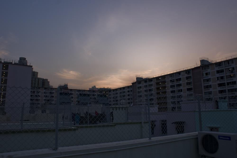 DSC09325.jpg