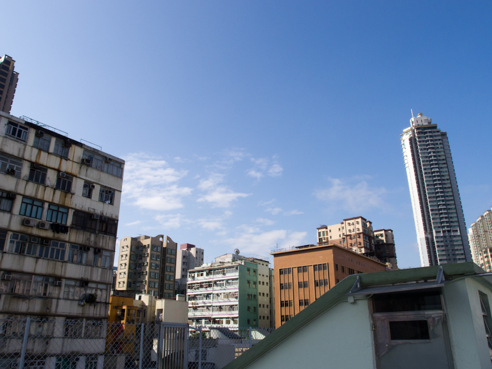 P5190104.jpg