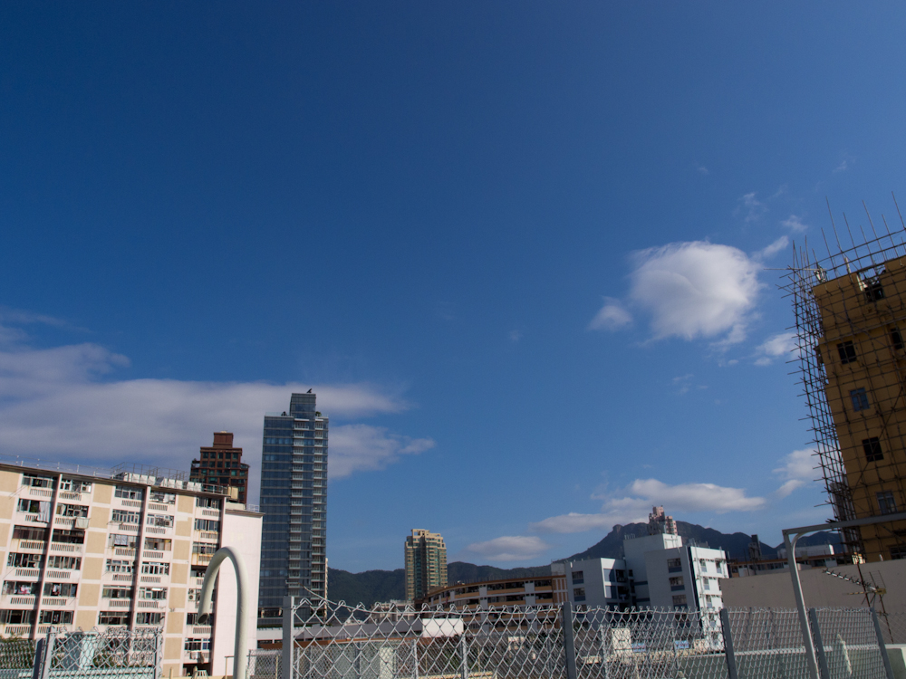 P5190105.jpg