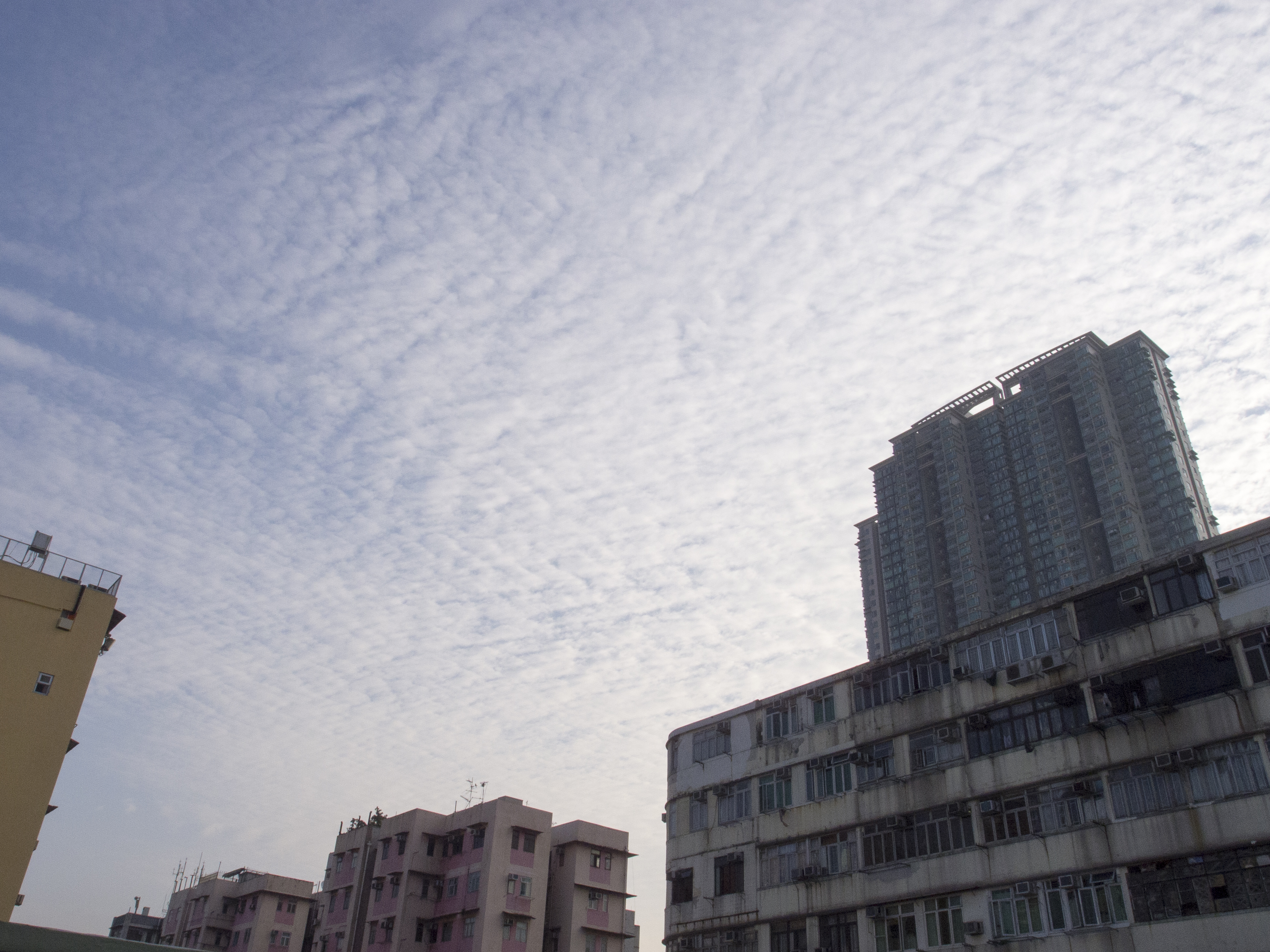PA211148.jpg