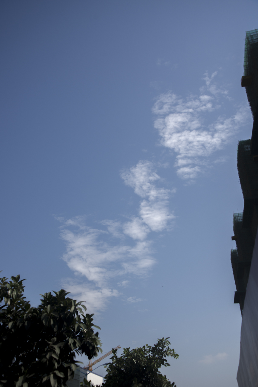 DSC01749.jpg