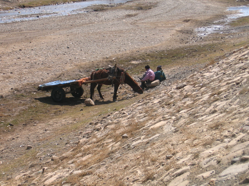 IMG_1305.JPG