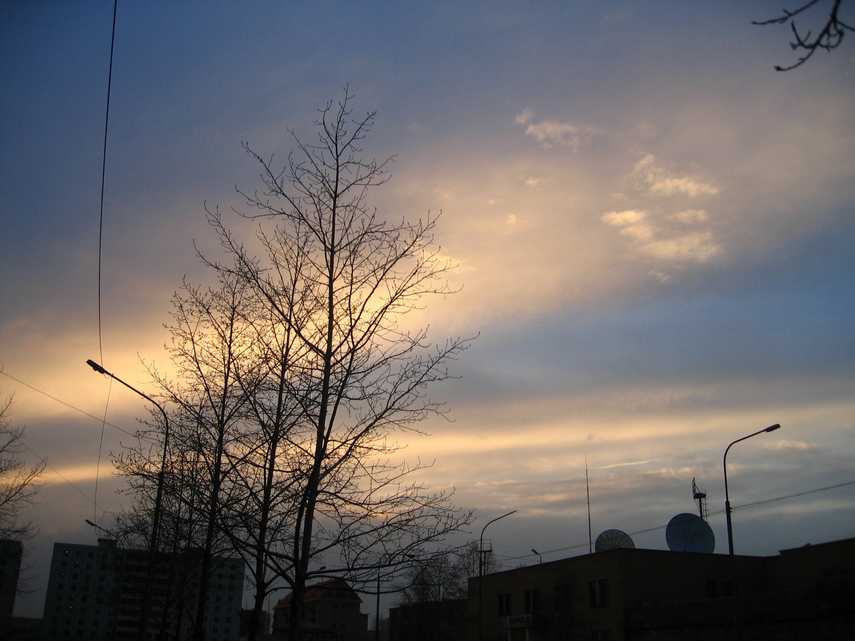 IMG_1411.JPG