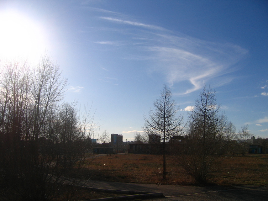 IMG_1350.JPG