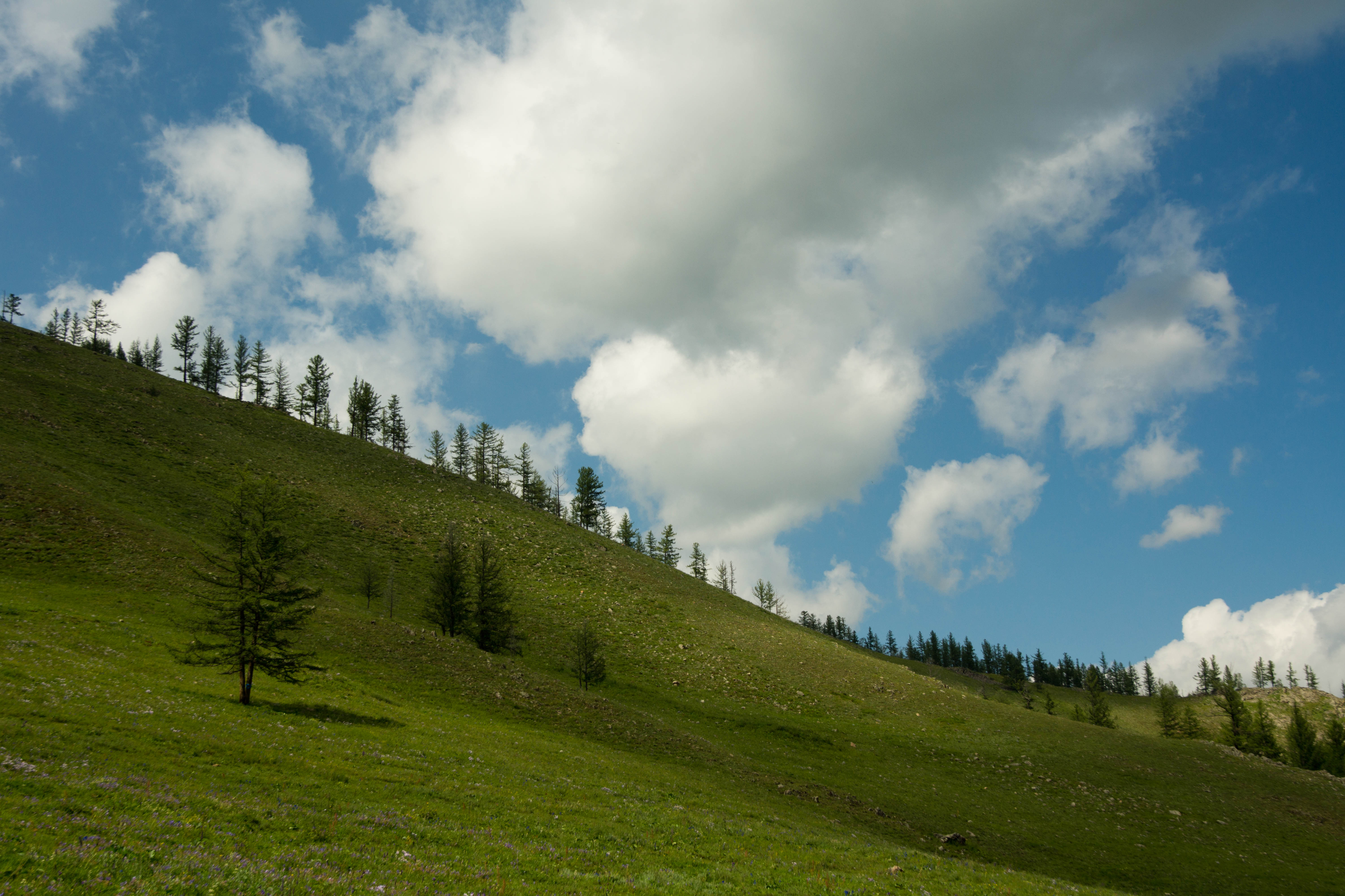 _DSC2369.jpg