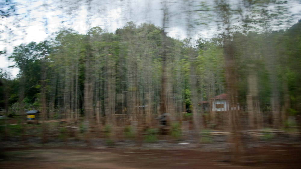 DSC00054.jpg