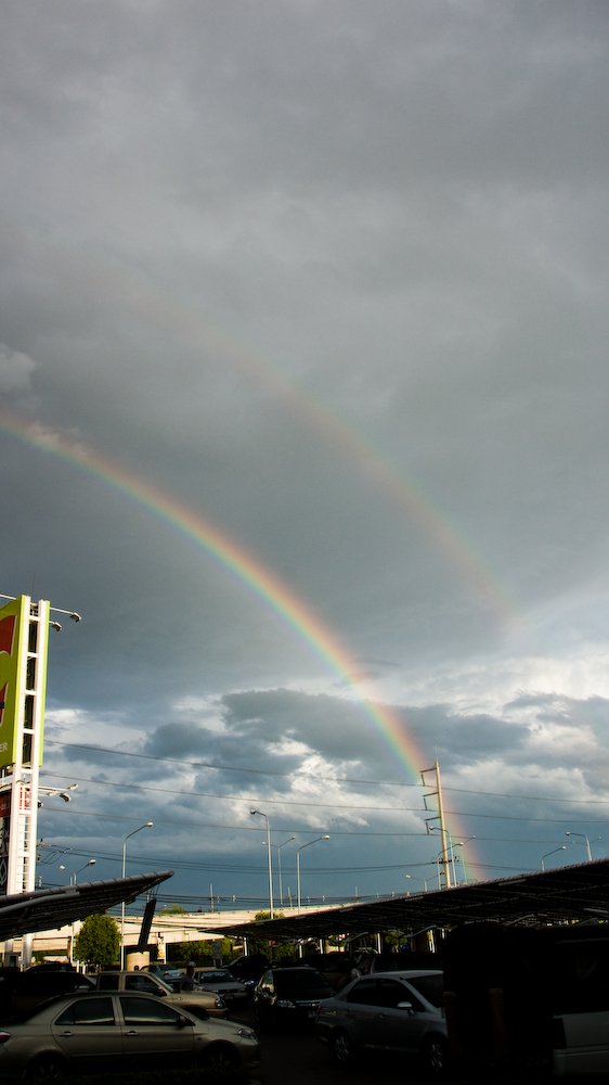 DSC09249.jpg