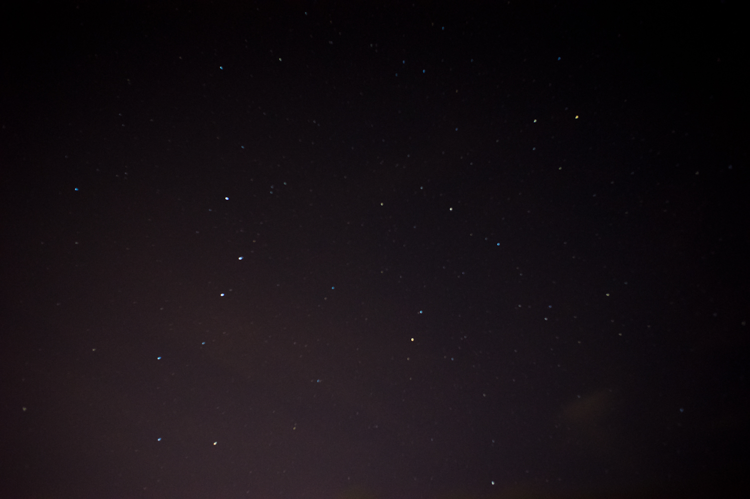 DSC00358.jpg