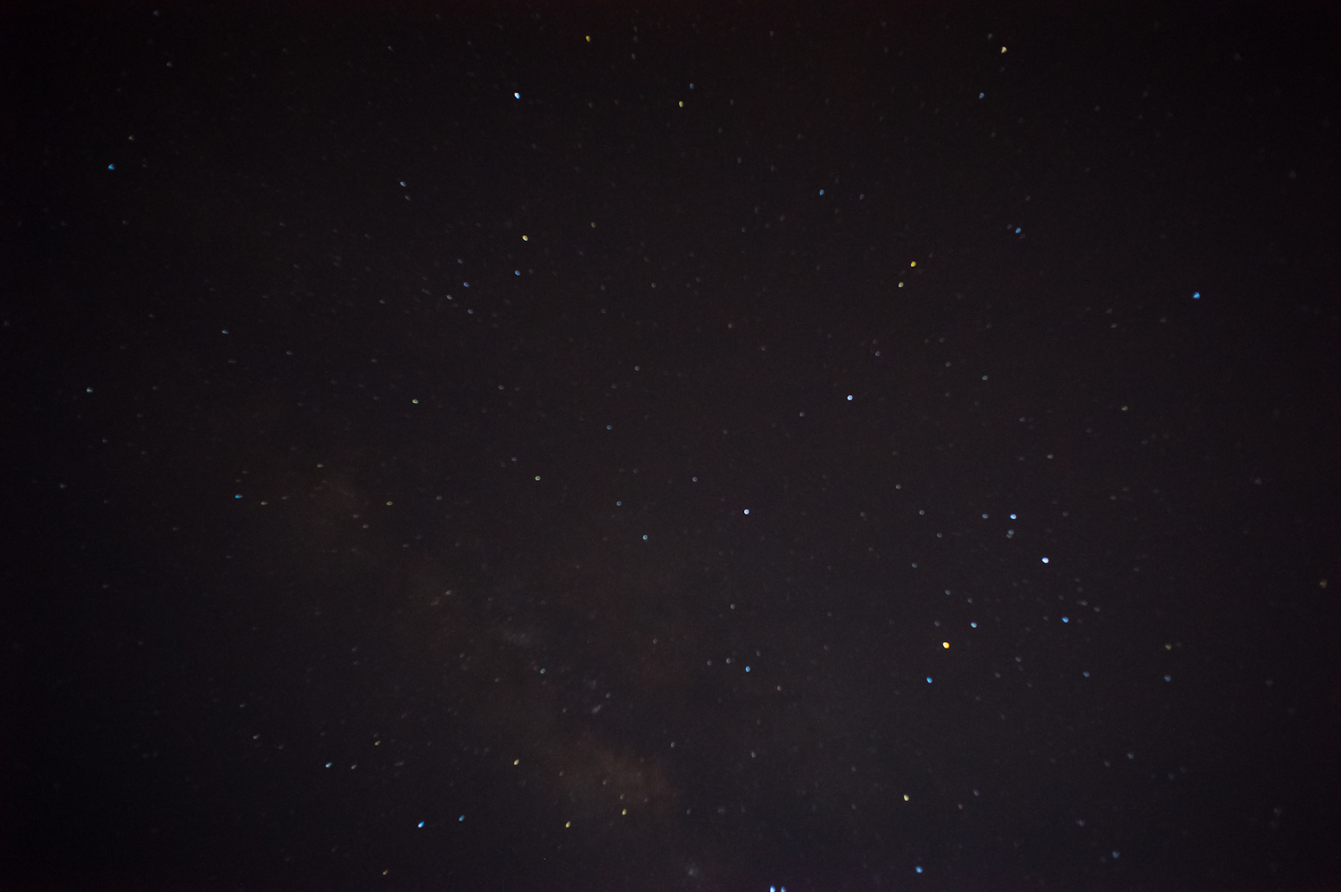 DSC00359.jpg