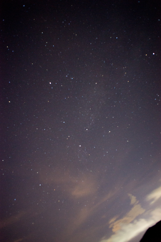 DSC00364.jpg