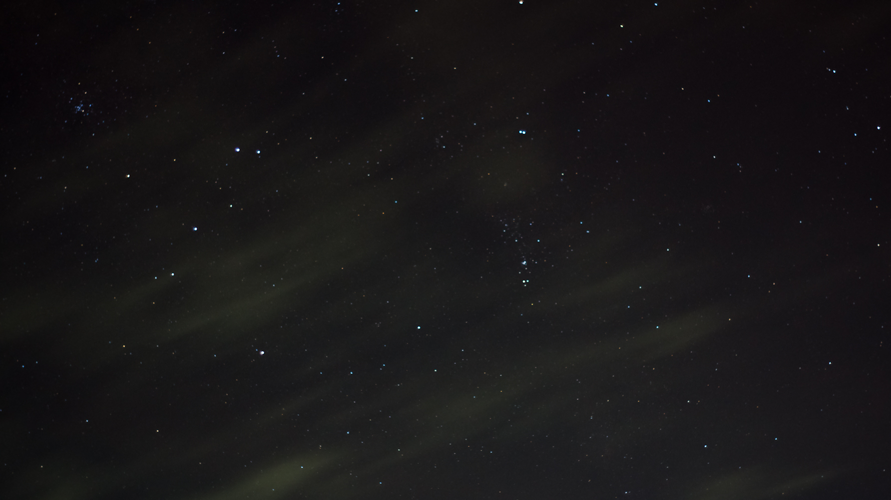 DSC00428.jpg