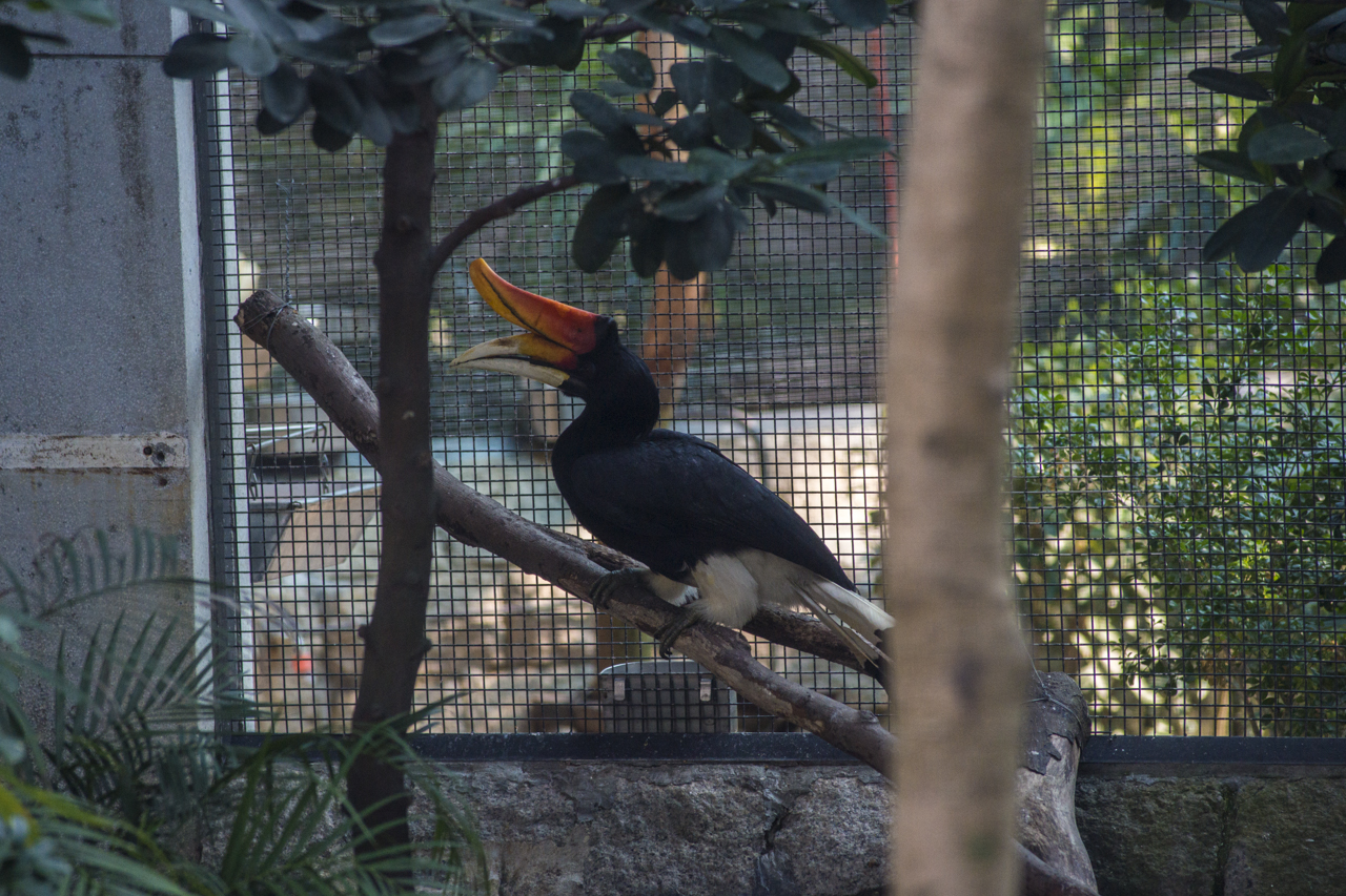DSC02638.jpg
