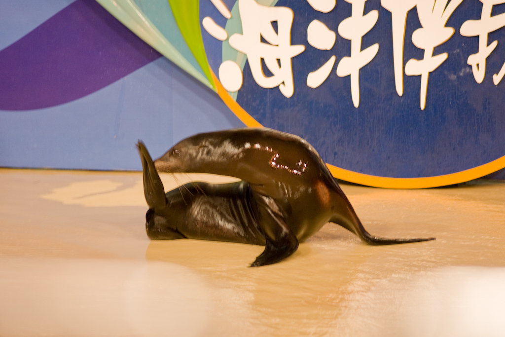DSC01048.jpg