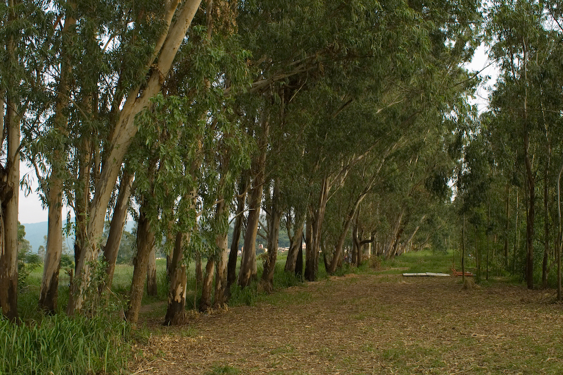 PICT0160.jpg