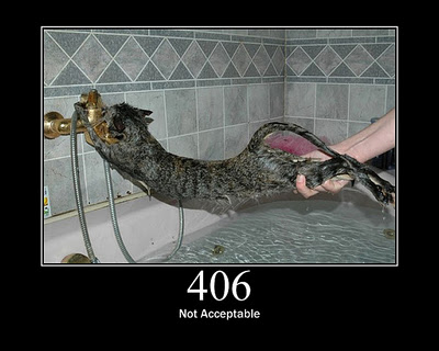 HTTP-Status-Cats-09.jpg