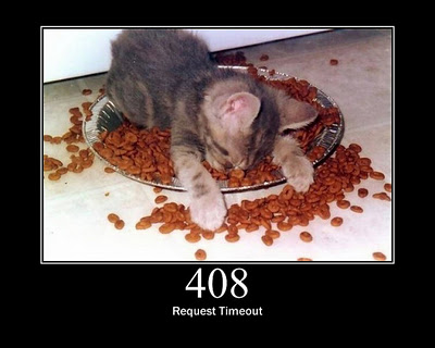 HTTP-Status-Cats-10.jpg
