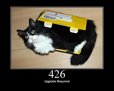 HTTP-Status-Cats-19.jpg