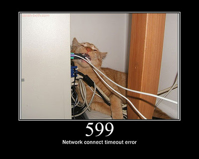 HTTP-Status-Cats-28.jpg