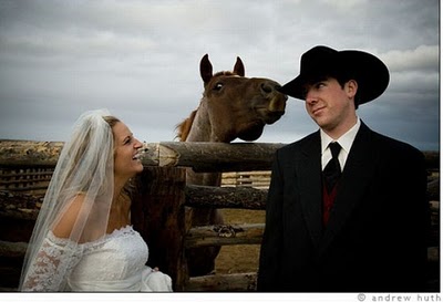 horse_photobombs_09.jpg