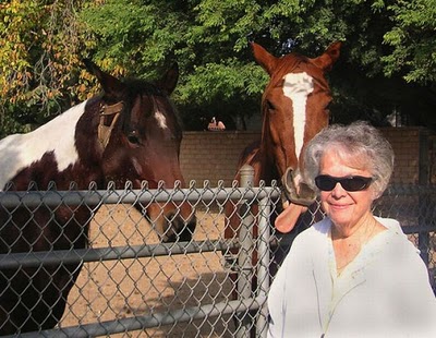 horse_photobombs_13.jpg